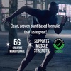 image:imageVega Micronized Creatine Monohydrate Powder Unflavored  5g Pure Vegan Creatine for Men amp Women Strength Performance amp Muscle Growth 100 Servings 176 oz180 Count Pack of 1