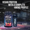 image:imageVega Protein  Recovery Mocha  30g Vegan Protein Dairy amp Gluten Free Probiotics NSF Certified 288 oz 19 ServingsBerry