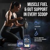 image:imageVega Protein  Recovery Mocha  30g Vegan Protein Dairy amp Gluten Free Probiotics NSF Certified 288 oz 19 ServingsVanilla