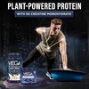 image:imageVega Protein  Recovery Mocha  30g Vegan Protein Dairy amp Gluten Free Probiotics NSF Certified 288 oz 19 ServingsVanilla